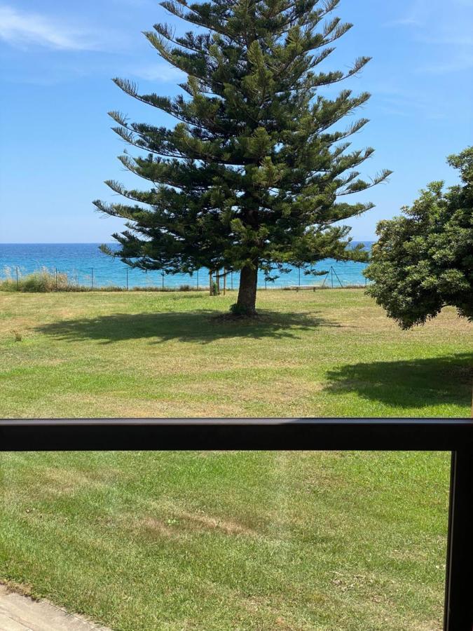 Appartement N 216 Moriani Plage Santa-Lucia-di-Moriani Εξωτερικό φωτογραφία