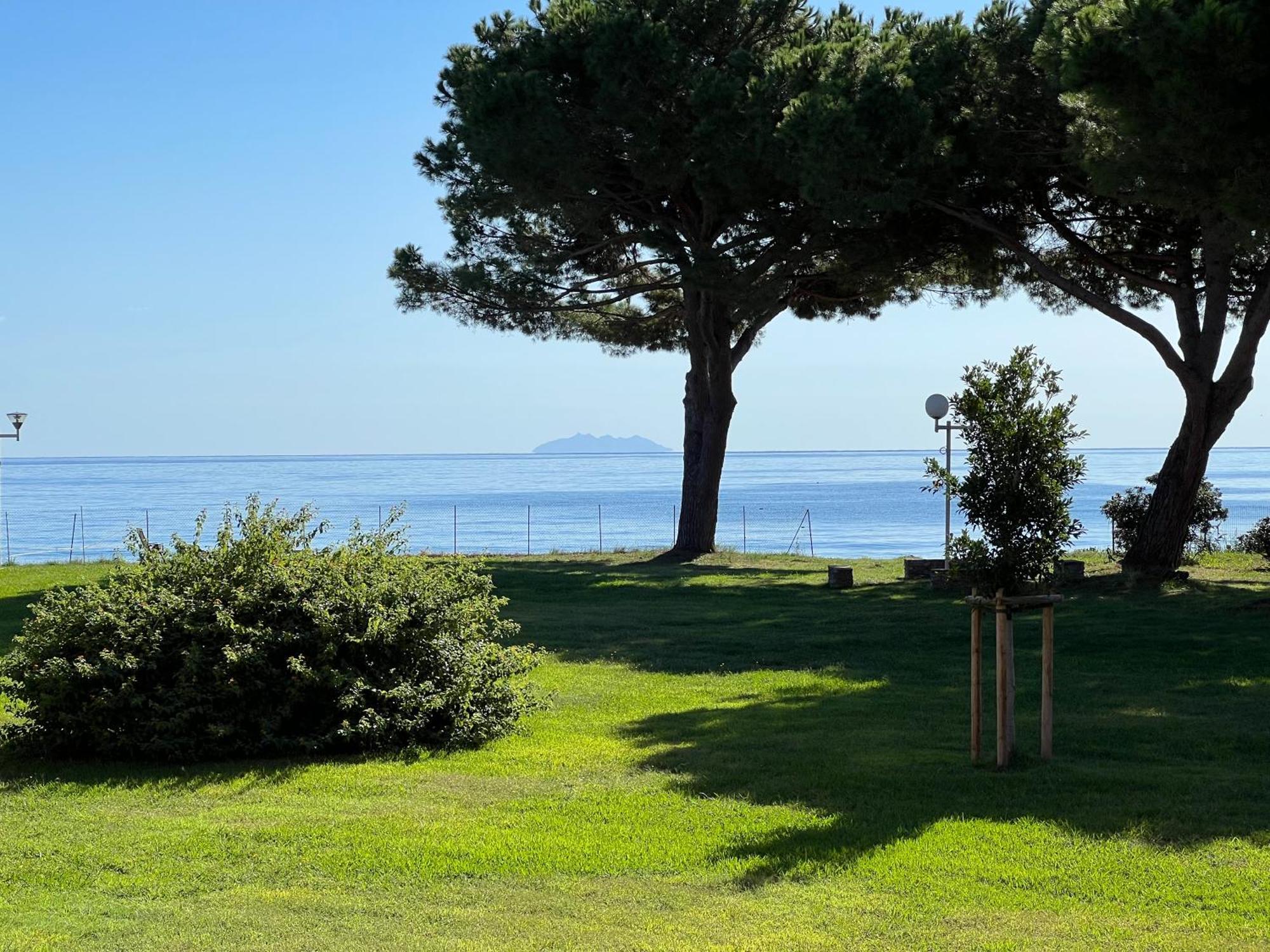 Appartement N 216 Moriani Plage Santa-Lucia-di-Moriani Εξωτερικό φωτογραφία