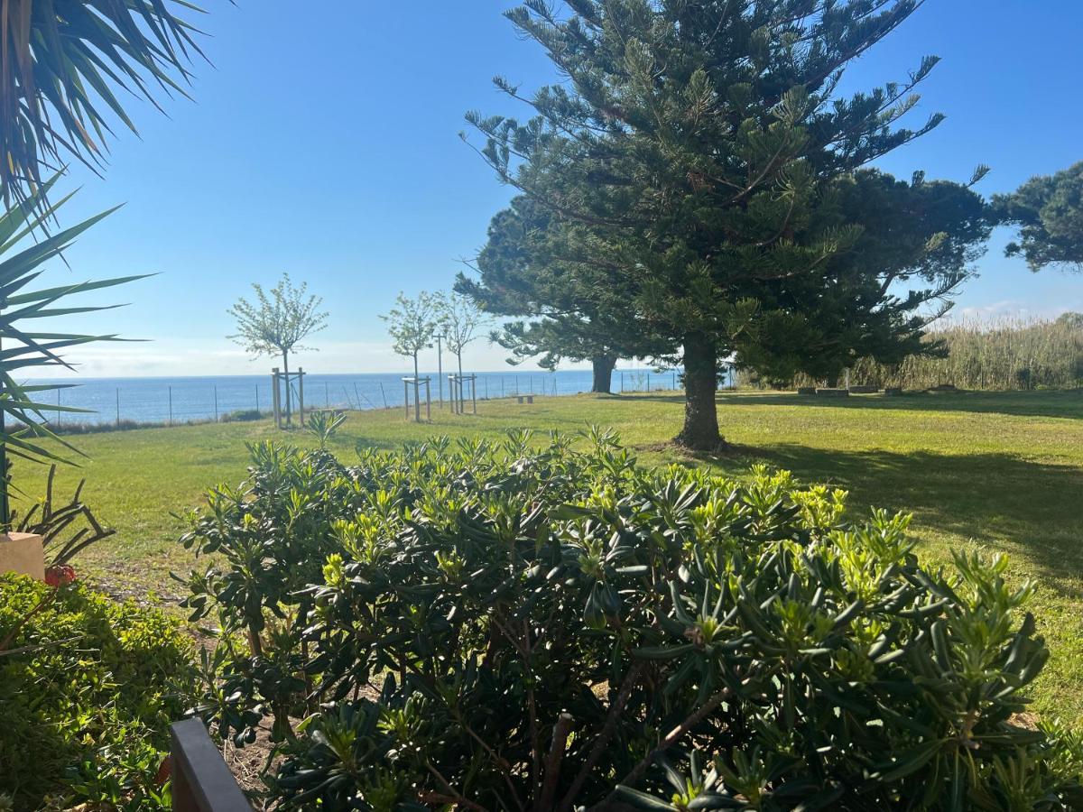 Appartement N 216 Moriani Plage Santa-Lucia-di-Moriani Εξωτερικό φωτογραφία